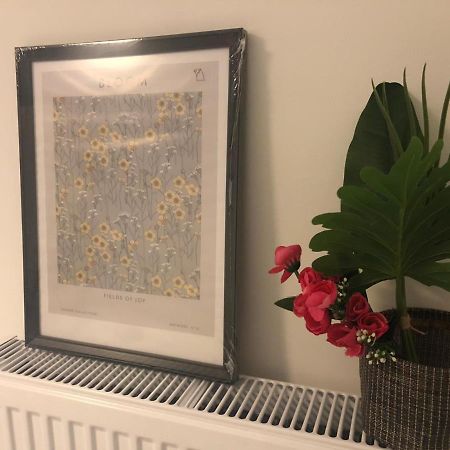 Apartmán Alexander Luxury Soluň Exteriér fotografie